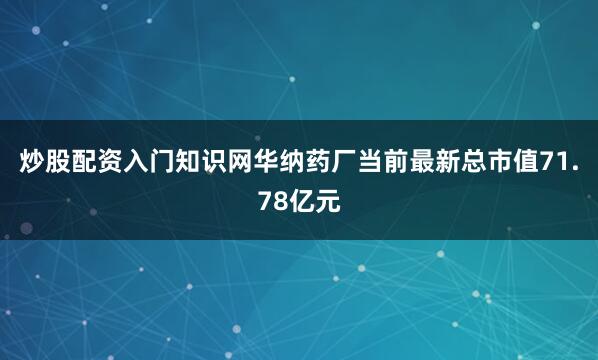 炒股配资入门知识网华纳药厂当前最新总市值71.78亿元